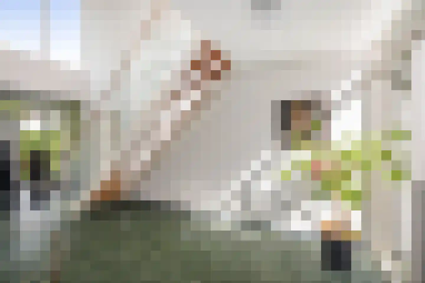 Burg. Arriënsweg 19 Diepenveen thumbnail 22