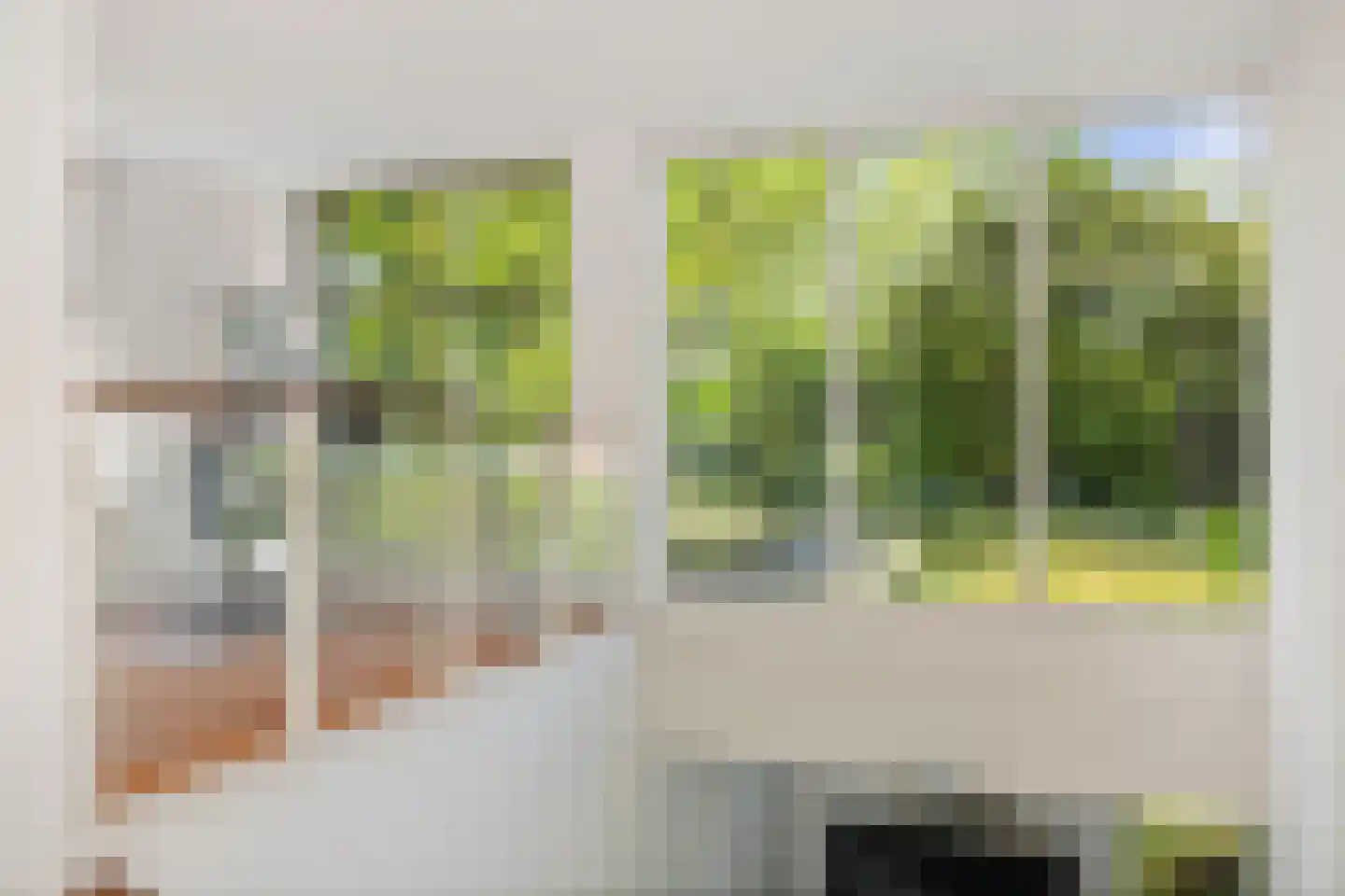 Burg. Arriënsweg 19 Diepenveen thumbnail 27