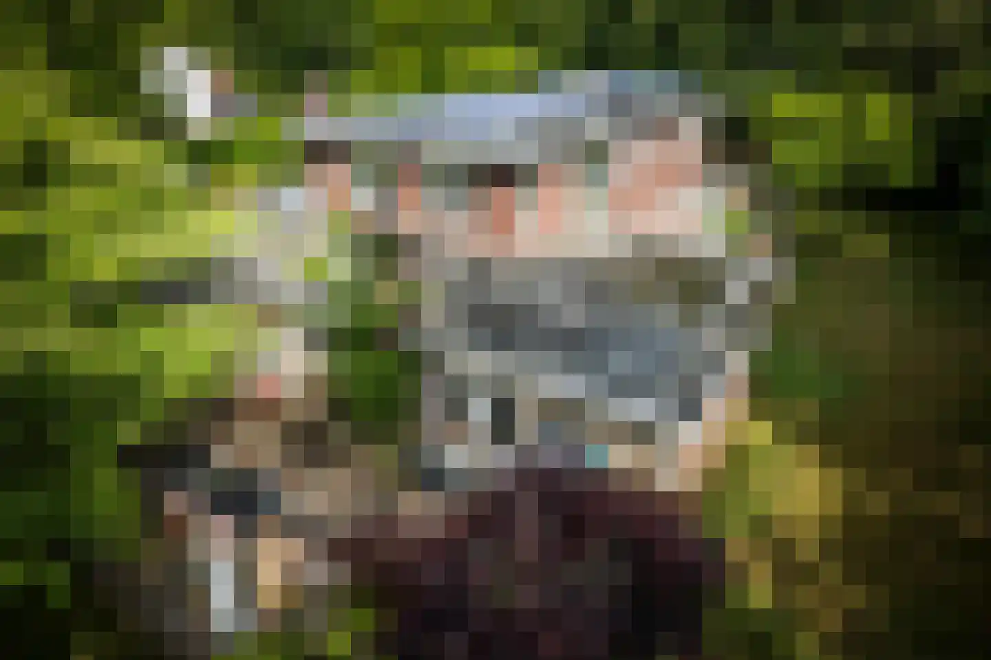 Burg. Arriënsweg 19 Diepenveen thumbnail 4