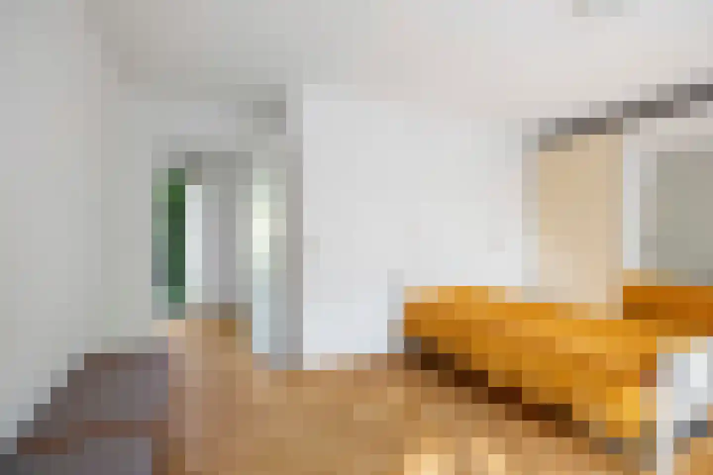 Burg. Arriënsweg 19 Diepenveen thumbnail 46