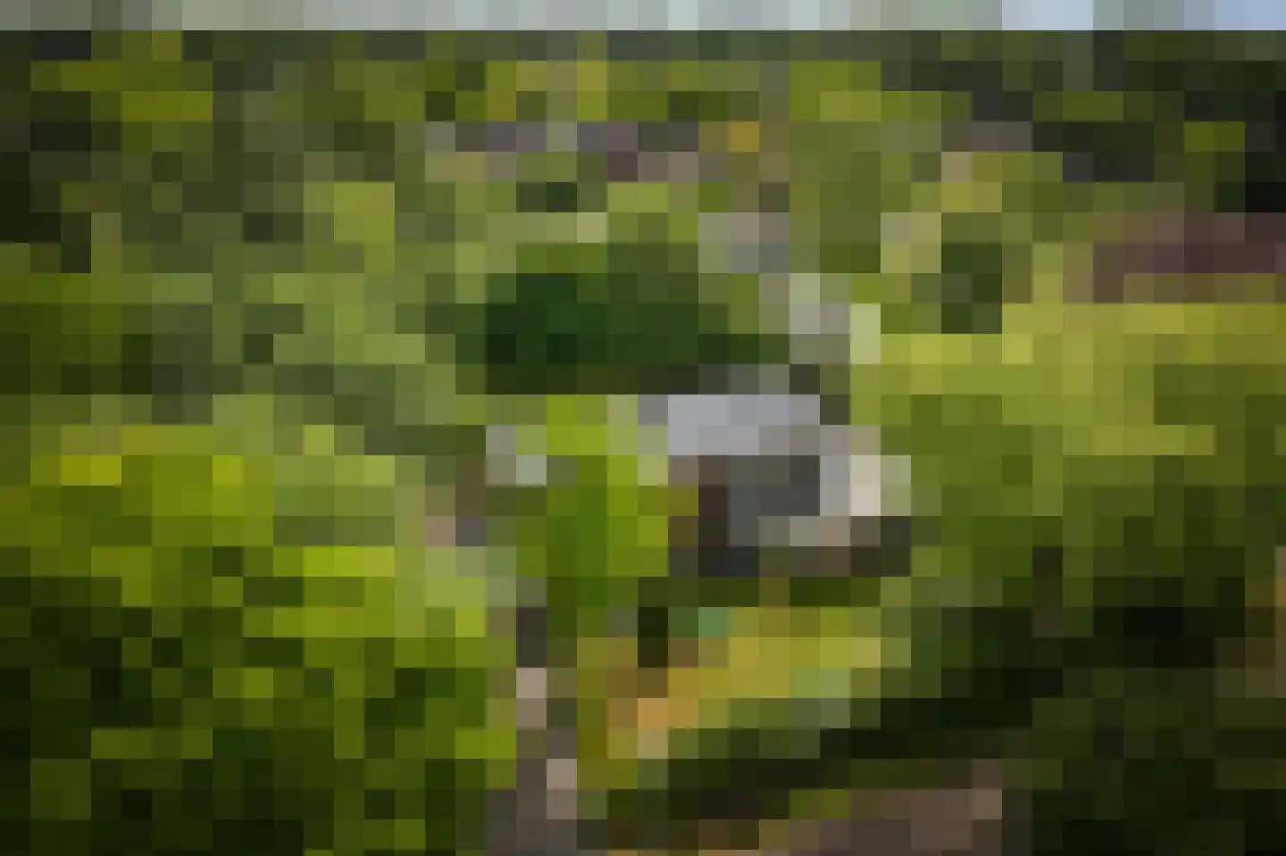 Burg. Arriënsweg 19 Diepenveen thumbnail 5