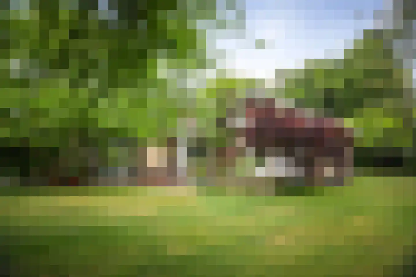 Burg. Arriënsweg 19 Diepenveen thumbnail 50