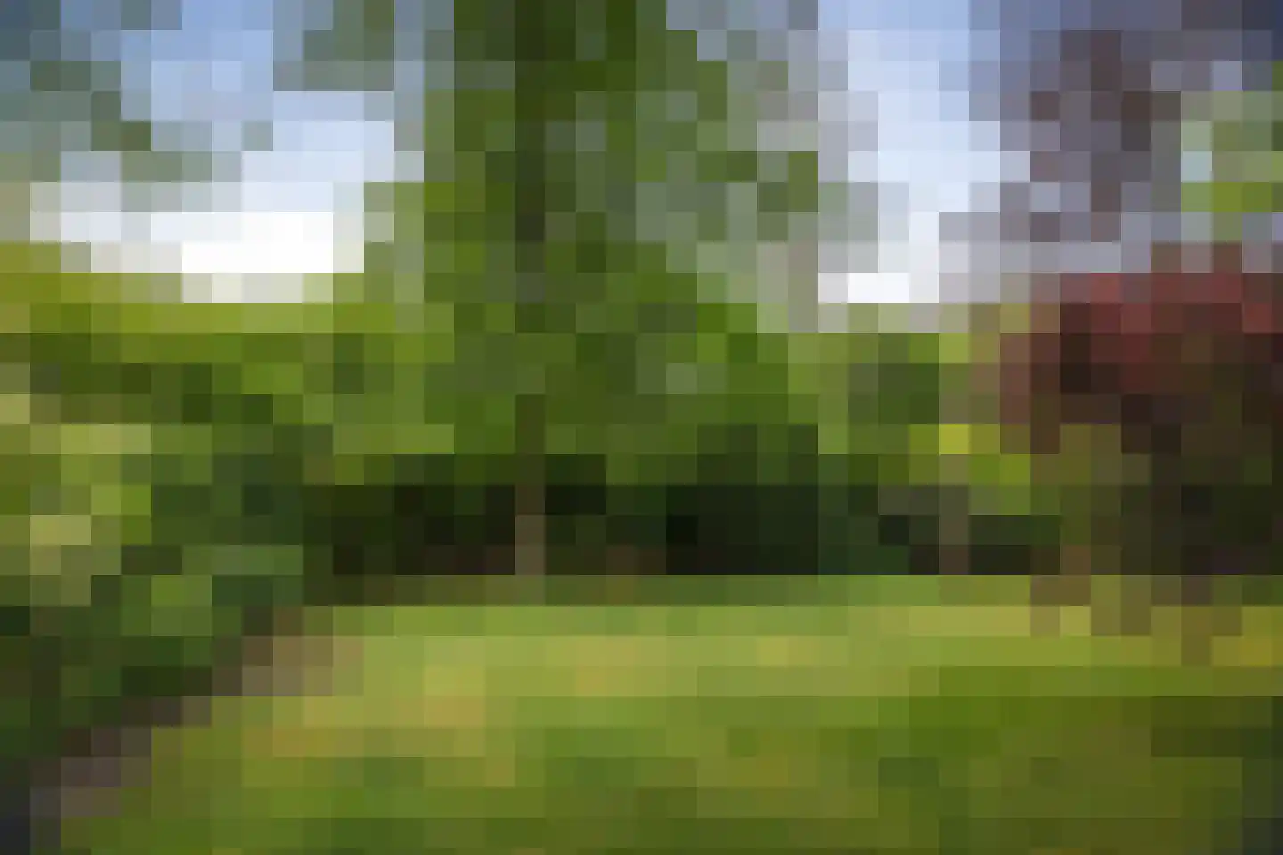 Burg. Arriënsweg 19 Diepenveen thumbnail 52