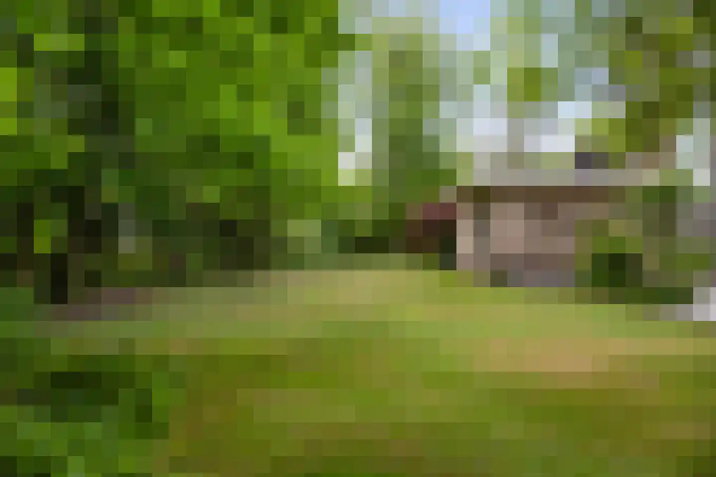 Burg. Arriënsweg 19 Diepenveen thumbnail 53