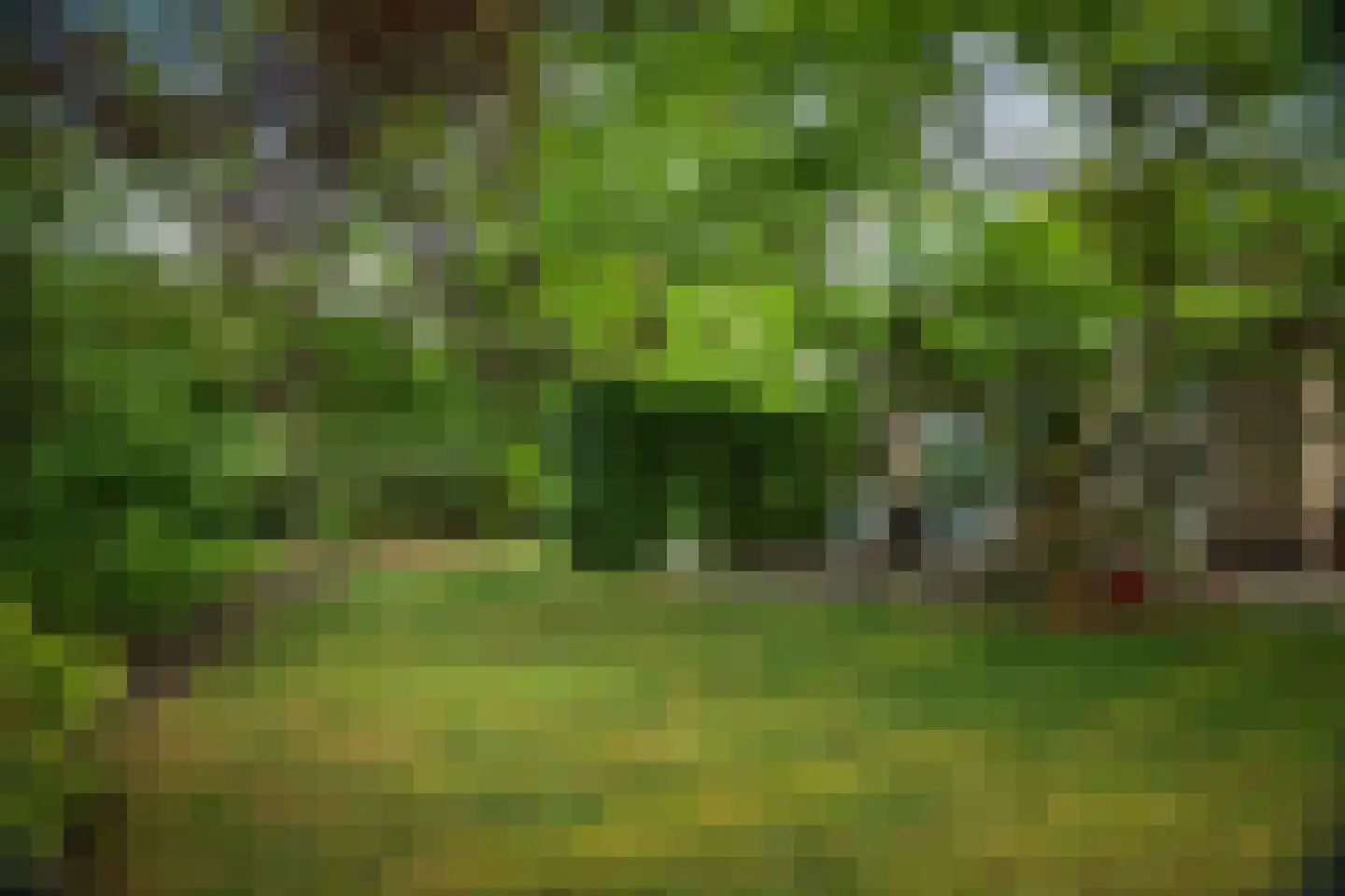 Burg. Arriënsweg 19 Diepenveen thumbnail 56