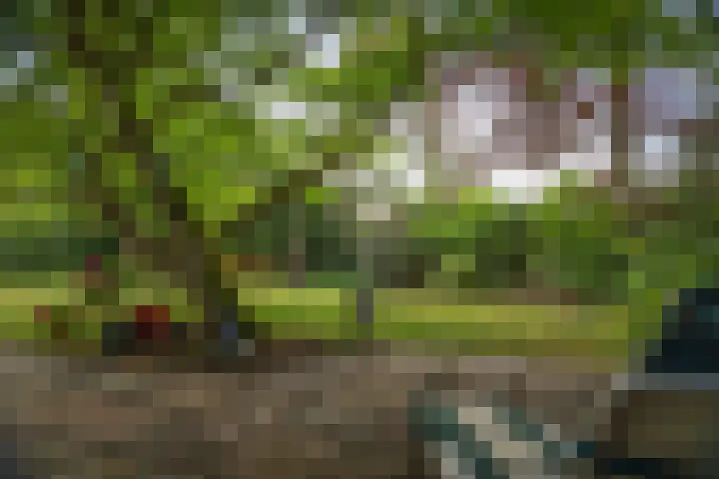 Burg. Arriënsweg 19 Diepenveen thumbnail 57