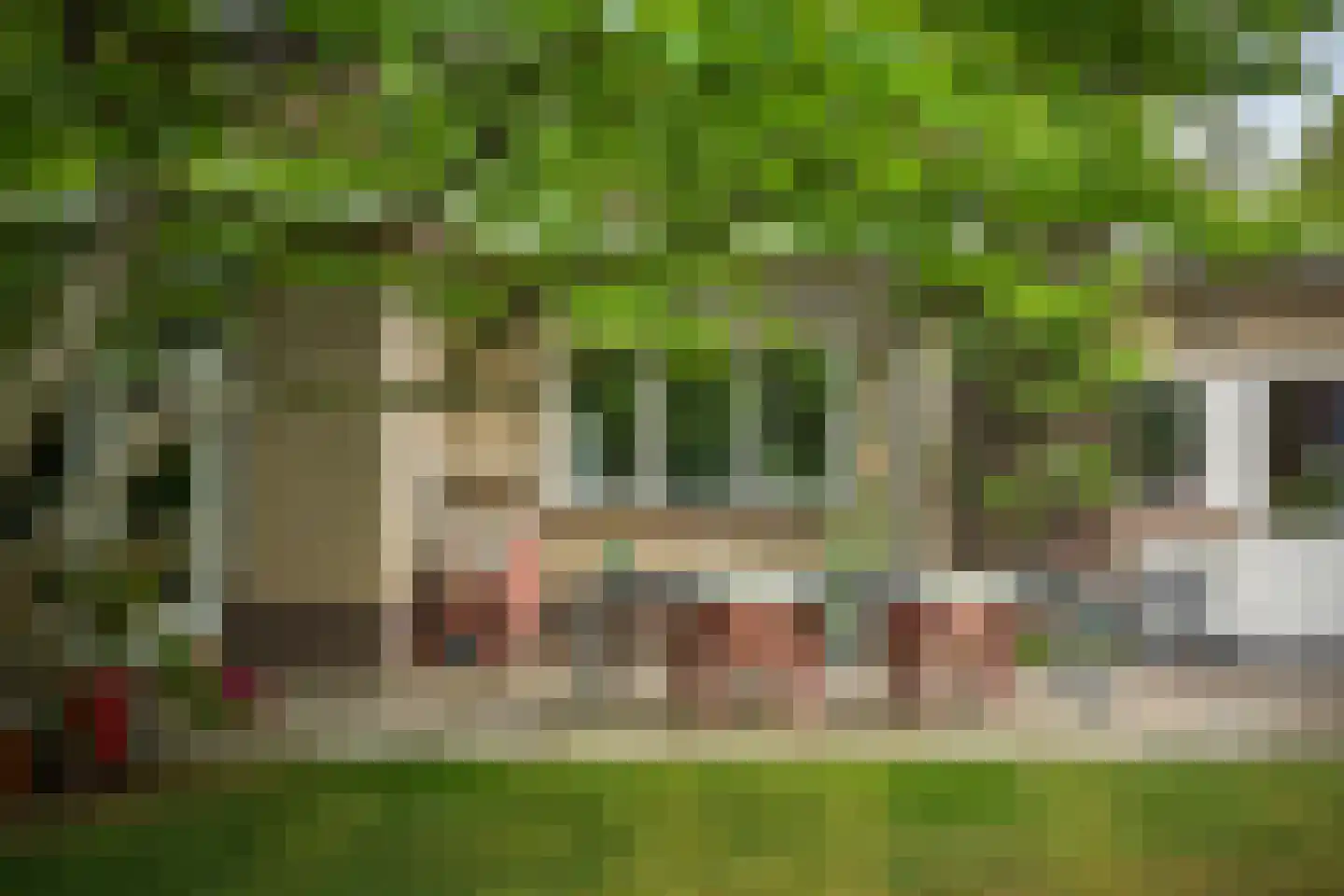 Burg. Arriënsweg 19 Diepenveen thumbnail 58