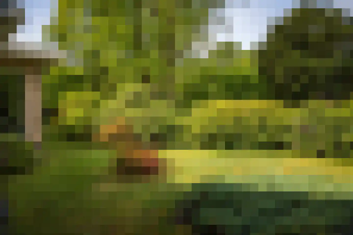 Burg. Arriënsweg 19 Diepenveen thumbnail 59