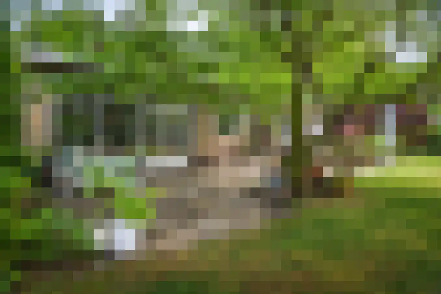 Burg. Arriënsweg 19 Diepenveen thumbnail 60