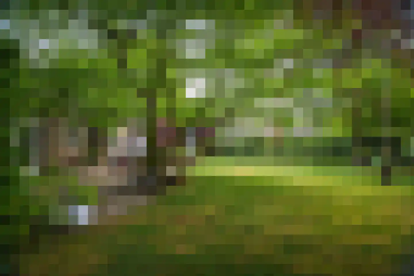 Burg. Arriënsweg 19 Diepenveen thumbnail 61