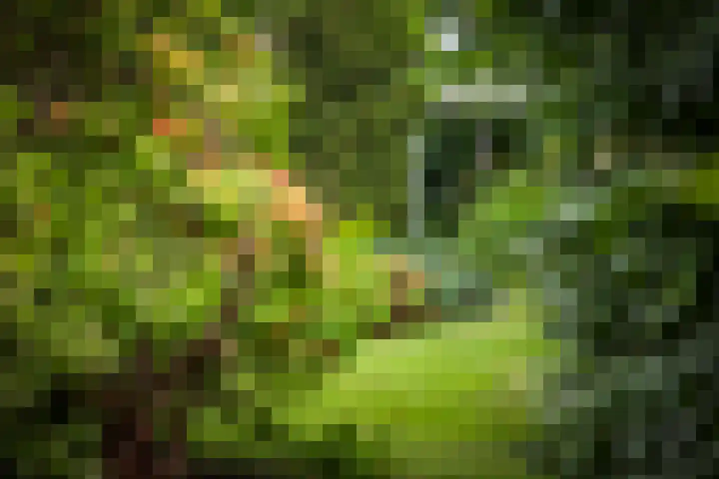 Burg. Arriënsweg 19 Diepenveen thumbnail 62