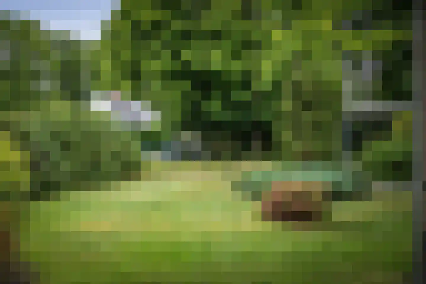 Burg. Arriënsweg 19 Diepenveen thumbnail 63