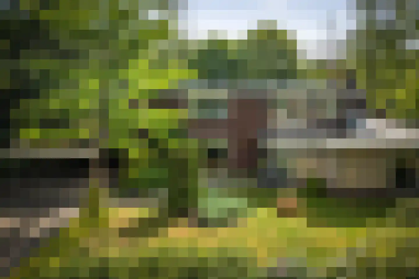 Burg. Arriënsweg 19 Diepenveen thumbnail 67