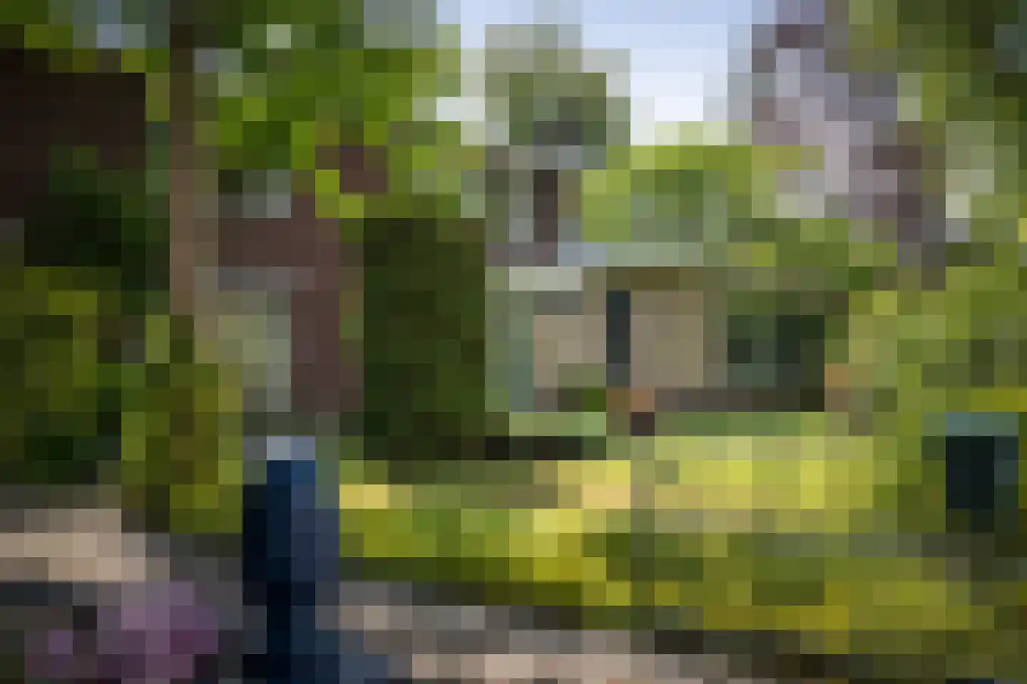 Burg. Arriënsweg 19 Diepenveen thumbnail 68