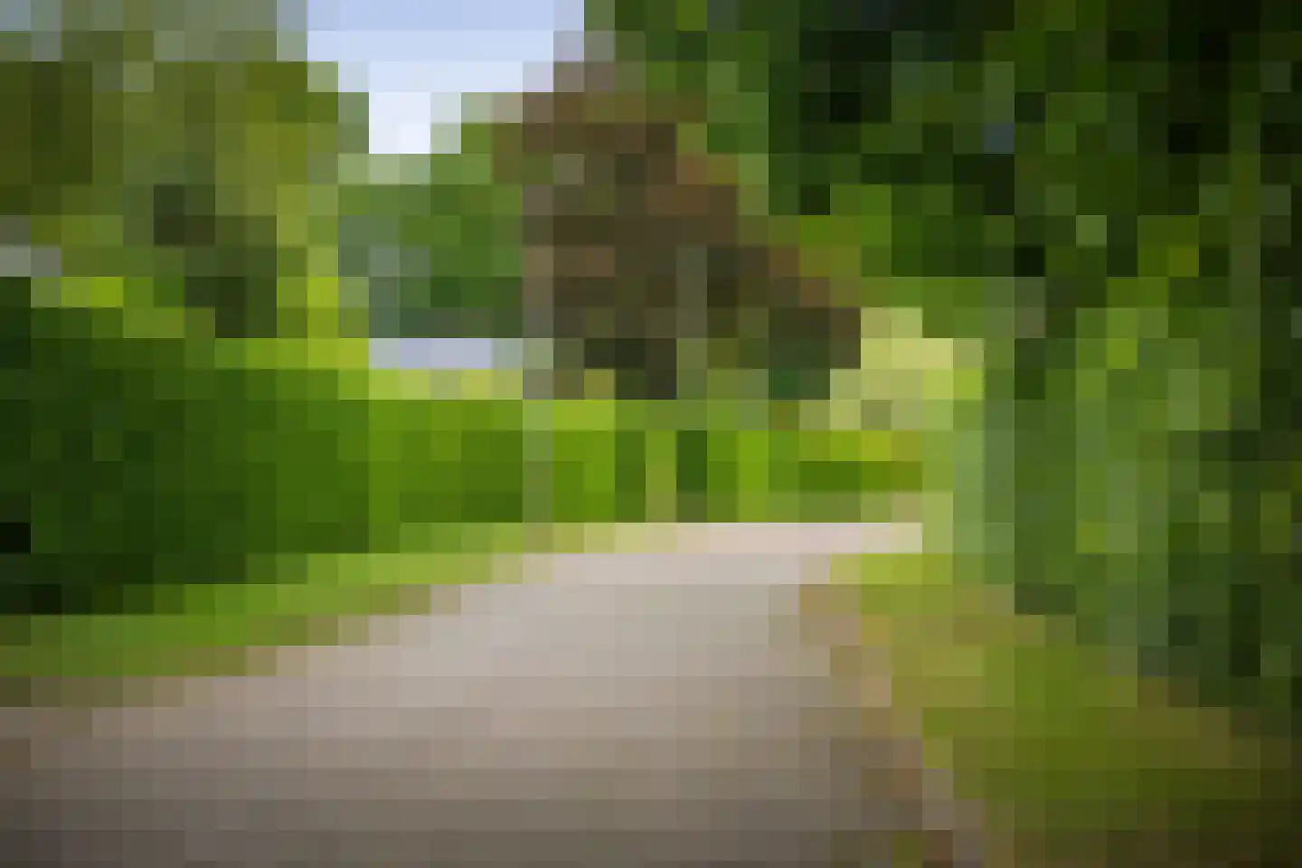 Burg. Arriënsweg 19 Diepenveen thumbnail 69