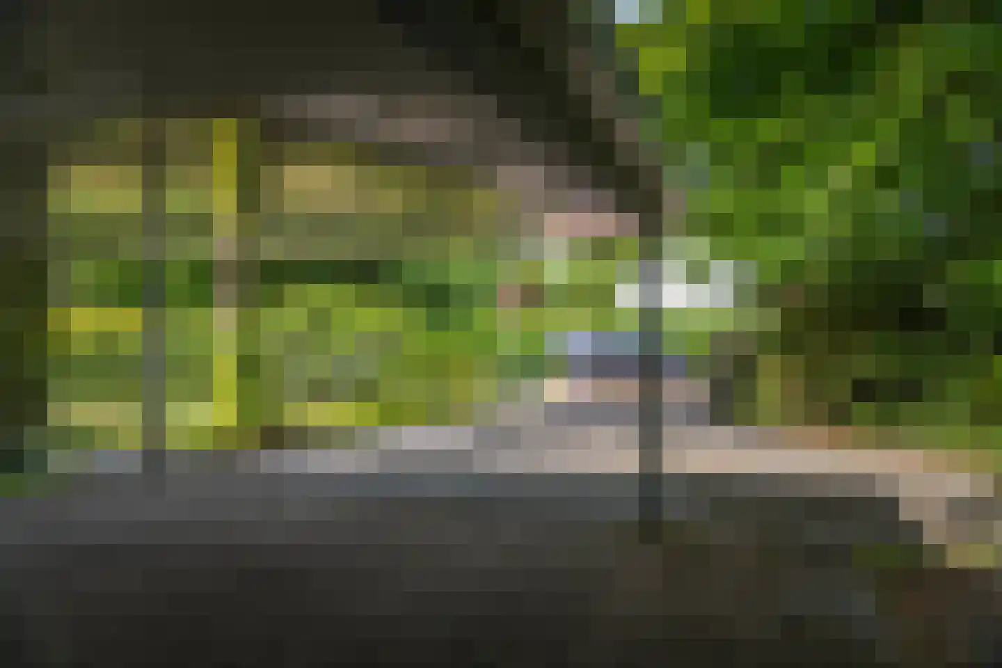 Burg. Arriënsweg 19 Diepenveen thumbnail 70
