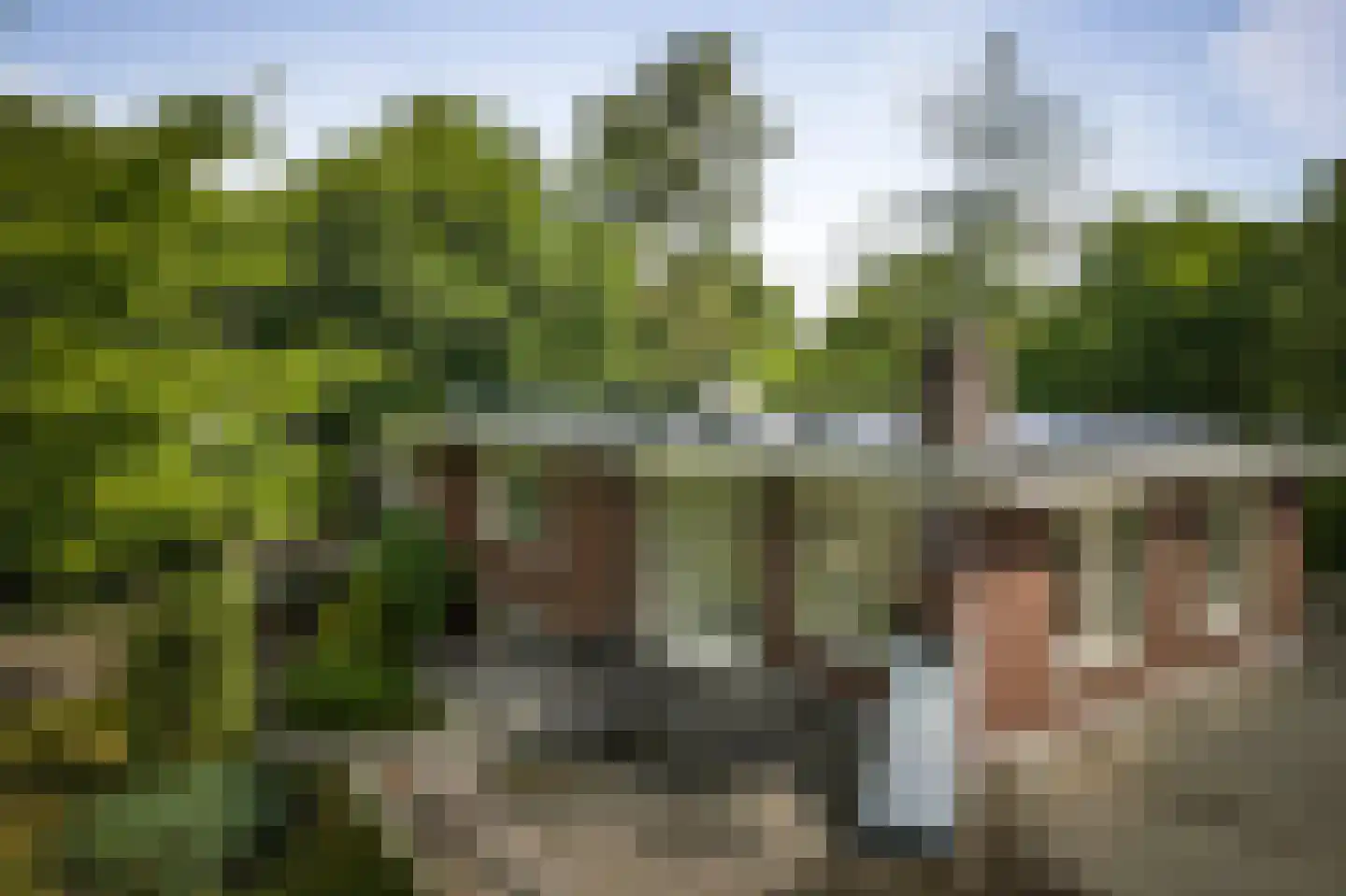 Burg. Arriënsweg 19 Diepenveen thumbnail 72