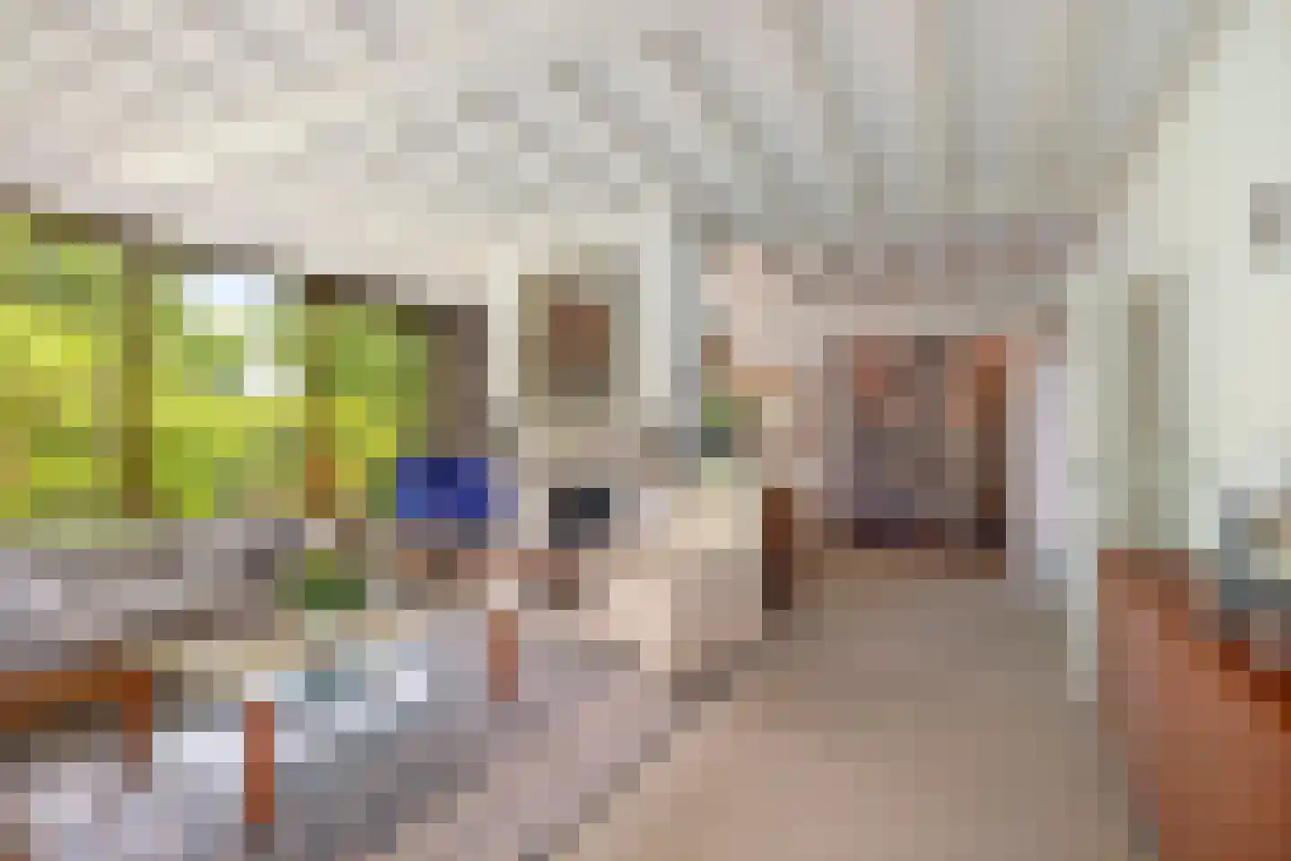 Burg. Arriënsweg 19 Diepenveen thumbnail 8