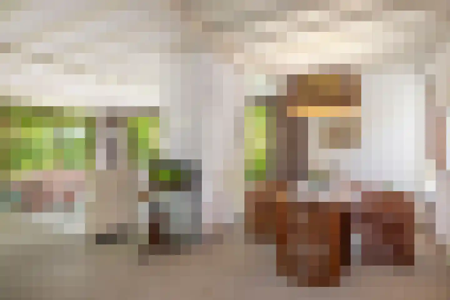 Burg. Arriënsweg 19 Diepenveen thumbnail 9