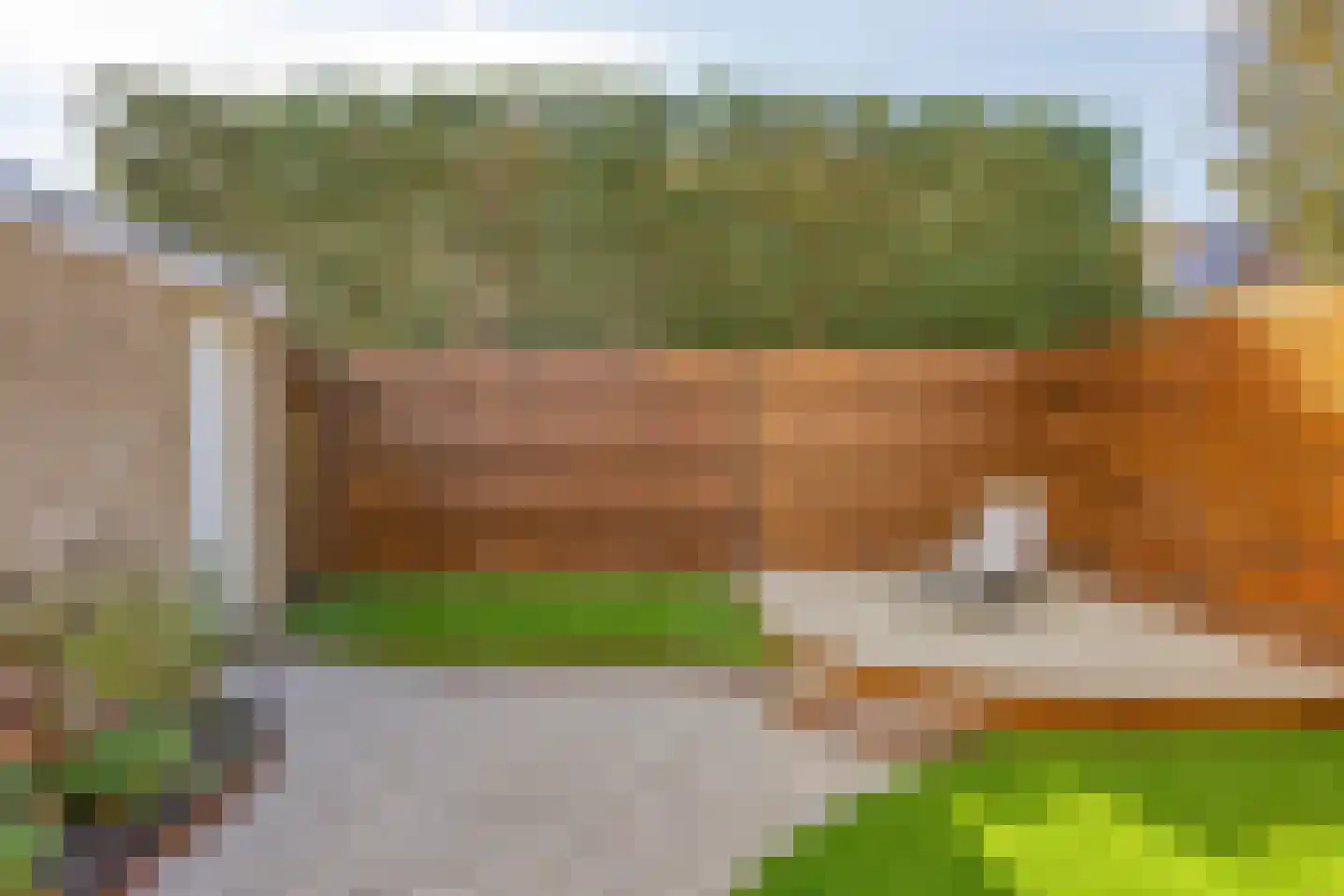 Burg. Arriënsweg 28 Diepenveen thumbnail 16