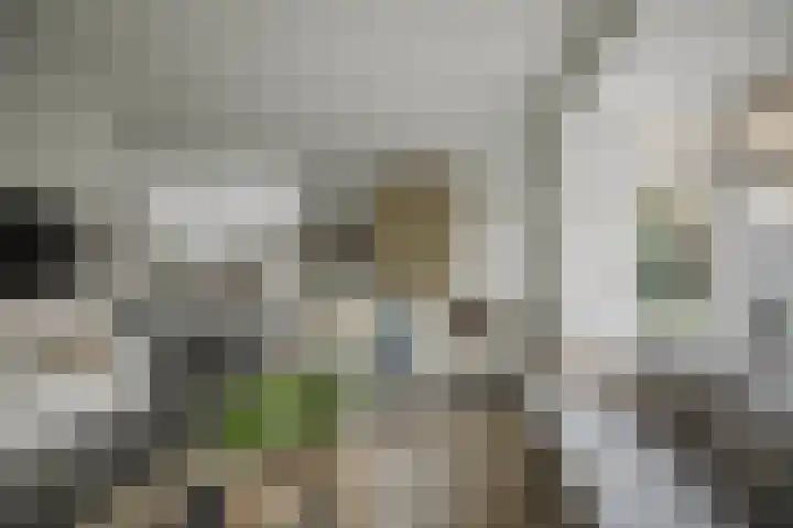 Burg. Arriënsweg 5 Diepenveen thumbnail 12