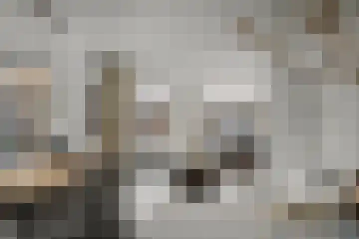 Burg. Arriënsweg 5 Diepenveen thumbnail 15