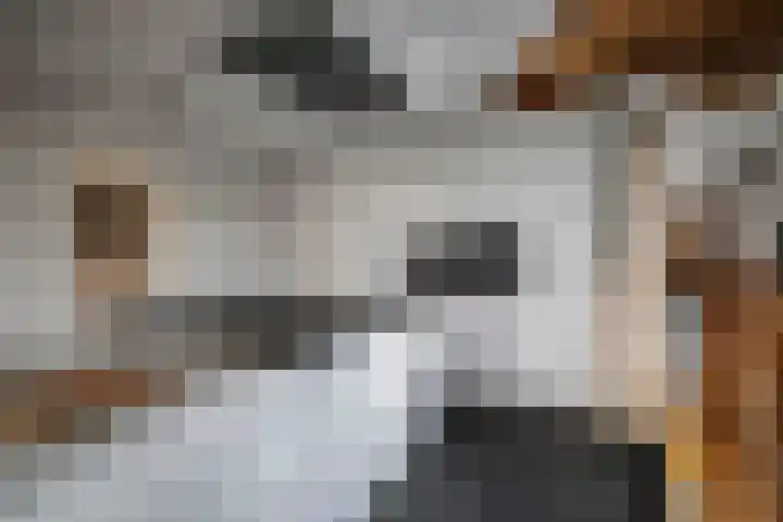 Burg. Arriënsweg 5 Diepenveen thumbnail 17