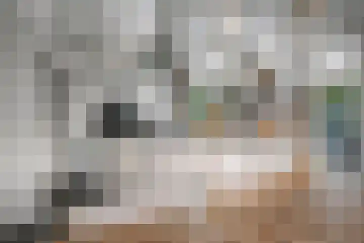 Burg. Arriënsweg 5 Diepenveen thumbnail 18