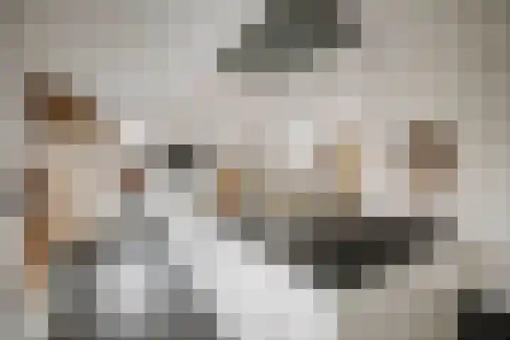 Burg. Arriënsweg 5 Diepenveen thumbnail 20