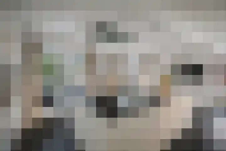 Burg. Arriënsweg 5 Diepenveen thumbnail 21