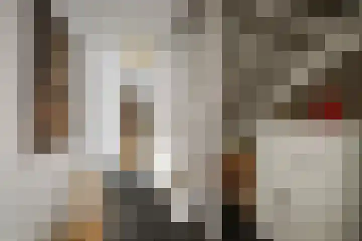 Burg. Arriënsweg 5 Diepenveen thumbnail 24