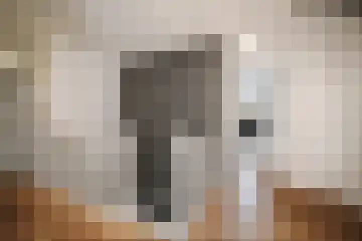 Burg. Arriënsweg 5 Diepenveen thumbnail 25