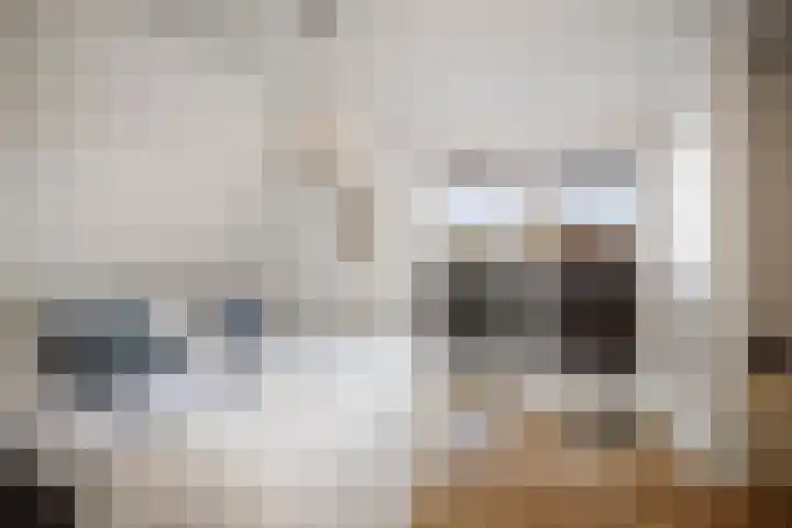 Burg. Arriënsweg 5 Diepenveen thumbnail 27