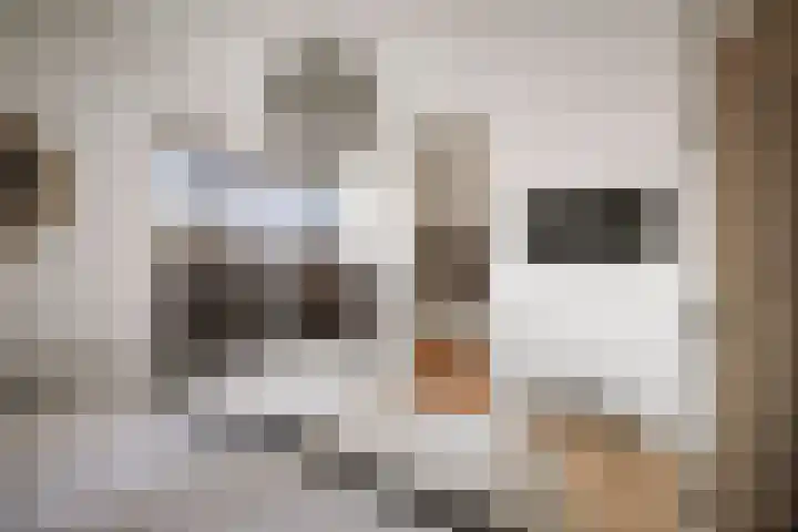 Burg. Arriënsweg 5 Diepenveen thumbnail 28