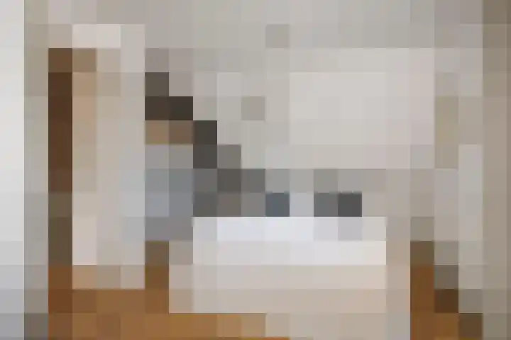 Burg. Arriënsweg 5 Diepenveen thumbnail 29