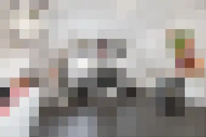 Burg. Arriënsweg 5 Diepenveen thumbnail 34