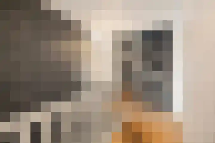 Burg. Arriënsweg 5 Diepenveen thumbnail 36