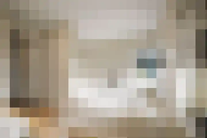 Burg. Arriënsweg 5 Diepenveen thumbnail 39