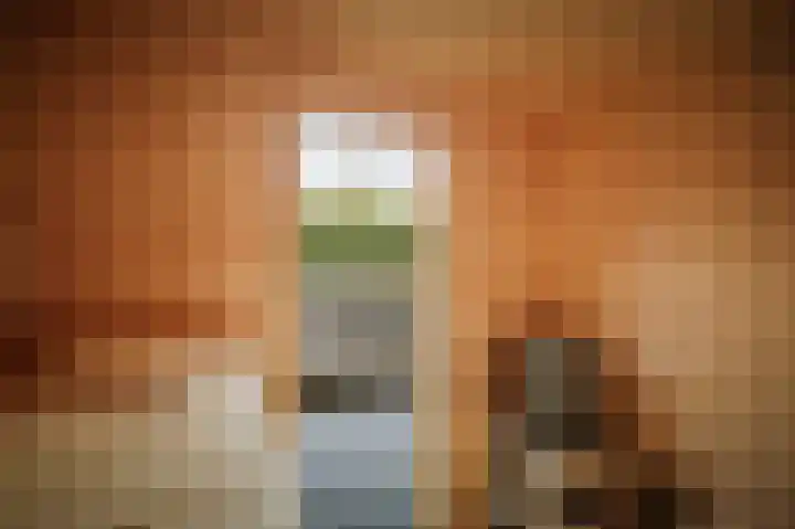 Burg. Arriënsweg 5 Diepenveen thumbnail 46