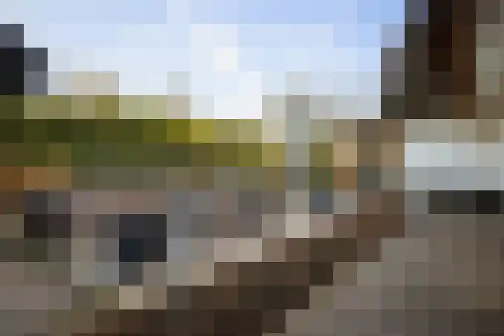 Burg. Arriënsweg 5 Diepenveen thumbnail 48