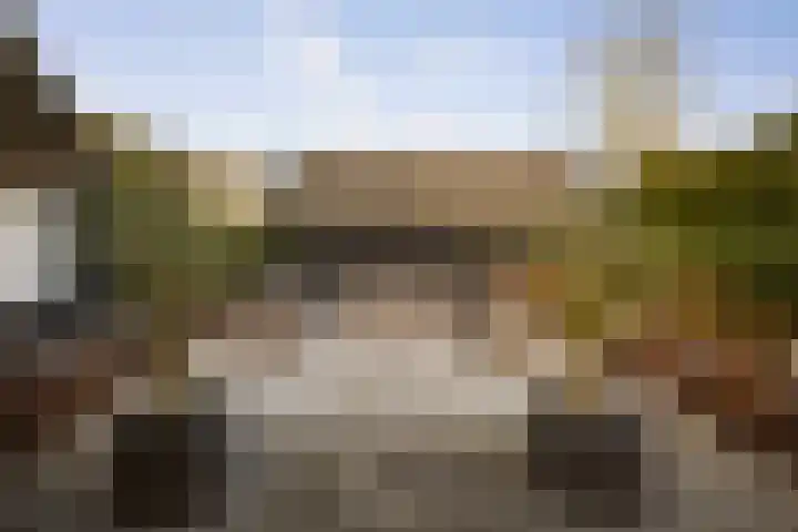 Burg. Arriënsweg 5 Diepenveen thumbnail 49