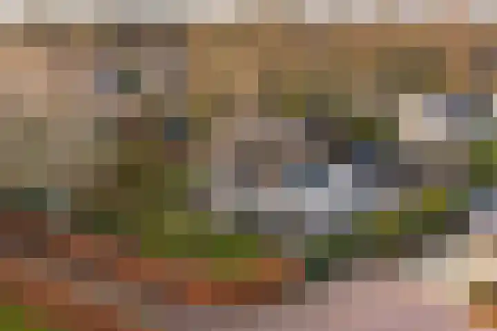 Burg. Arriënsweg 5 Diepenveen thumbnail 5