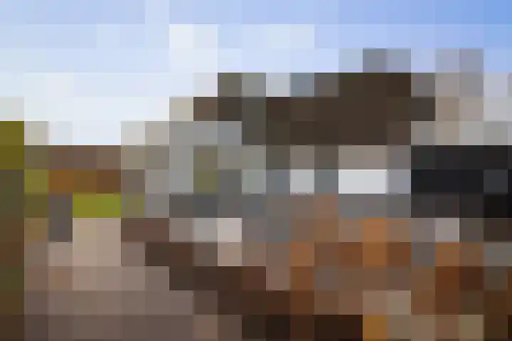 Burg. Arriënsweg 5 Diepenveen thumbnail 51