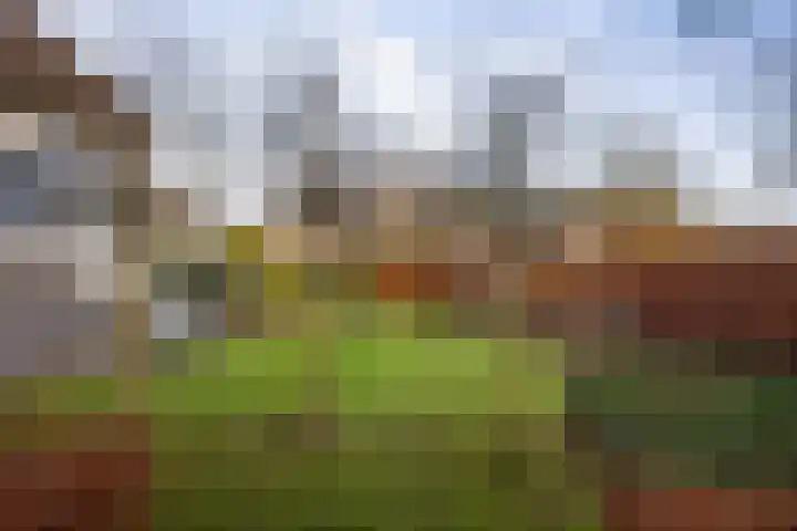 Burg. Arriënsweg 5 Diepenveen thumbnail 54