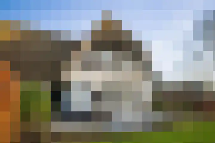 Burg. Arriënsweg 5 Diepenveen thumbnail 55