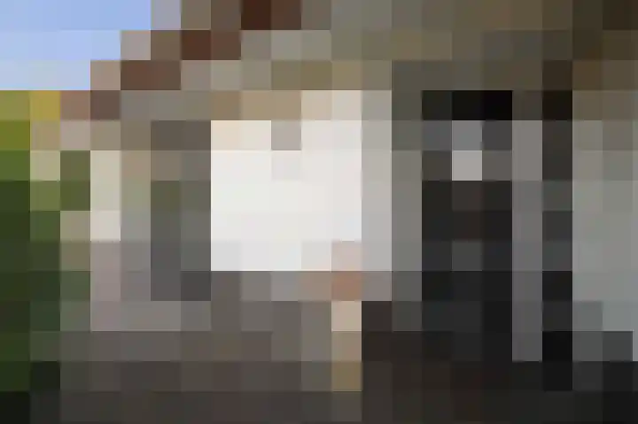 Burg. Arriënsweg 5 Diepenveen thumbnail 56
