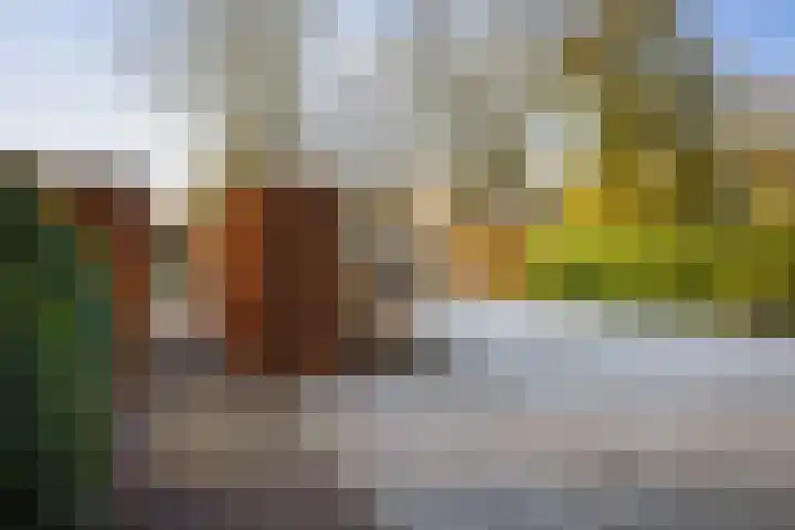 Burg. Arriënsweg 5 Diepenveen thumbnail 57