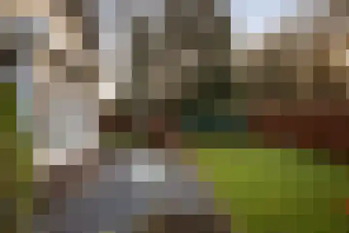 Burg. Arriënsweg 5 Diepenveen thumbnail 59