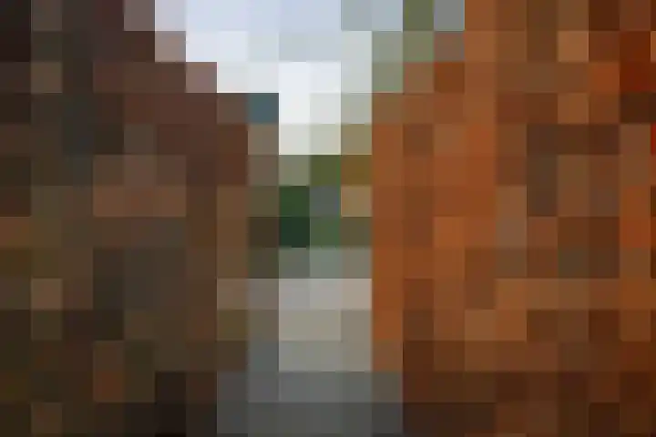 Burg. Arriënsweg 5 Diepenveen thumbnail 60