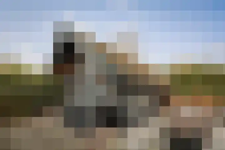 Burg. Arriënsweg 5 Diepenveen thumbnail 61